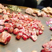 Tin tức trong ngày - Truy tìm hồng ngọc: Máu và nước mắt