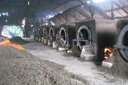 Giật mình với... bã trà tái chế! - 1