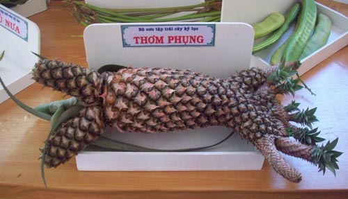 Đông nghẹt người ở Lễ hội trái cây Nam Bộ - 7
