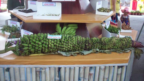 Đông nghẹt người ở Lễ hội trái cây Nam Bộ - 8