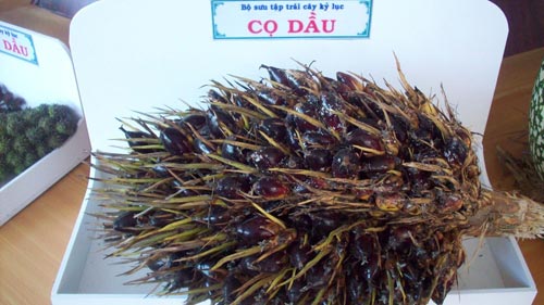 Đông nghẹt người ở Lễ hội trái cây Nam Bộ - 9