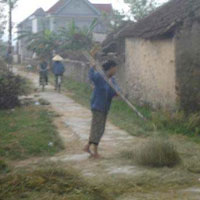 Tin tức trong ngày - "Làng góa chồng" và mảnh đời đau thương