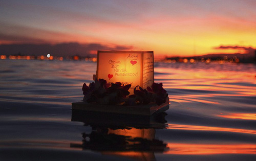 Những hình ảnh ấn tượng nhất tuần (26/5-1/6) - 11