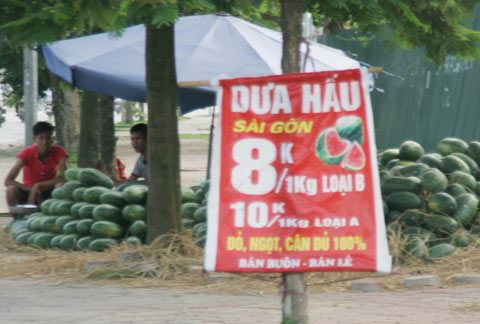 Chợ hoa quả khổng lồ trên vỉa hè Hà Nội - 1