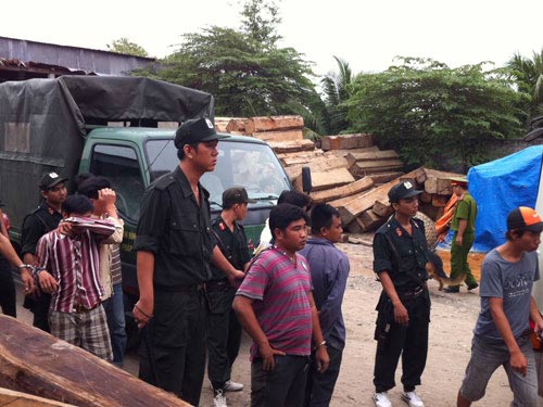 Bắt trường gà lớn nằm trong trại gỗ - 1