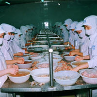 Thị trường - Tiêu dùng - Hậu quả của chính sách... trên giấy!