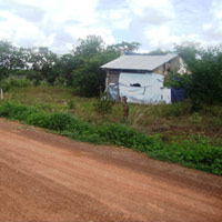 Pháp luật - Bắt "yêu râu xanh" giao cấu với trẻ em