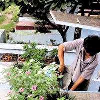Tin tức trong ngày - Phu bốc mộ: Nghề hưởng lộc từ người chết