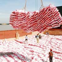 Thị trường - Tiêu dùng - Giá gạo ngày càng “đuối”