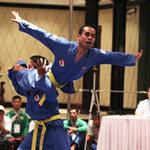 Thể thao - Đưa Vovinam bay xa