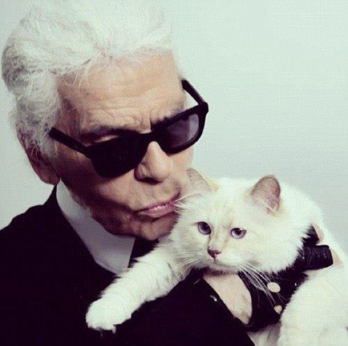 Karl Lagerfeld muốn cưới... mèo làm vợ - 1