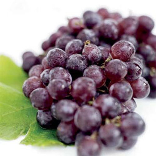 Loại quả “hoàn hảo” giúp giảm bệnh tật - 2