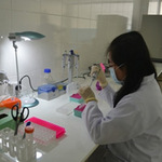 Sức khỏe đời sống - Khóc cười xét nghiệm ADN