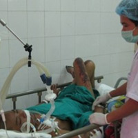 Sức khỏe đời sống - Tử vong vì nhiễm liên cầu khuẩn heo