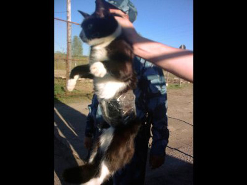 Sự thật thú vị về 12 nước dùng smartphone nhiều nhất - 11