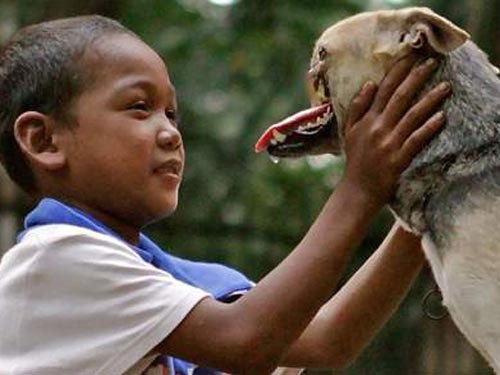 Cô chó mất nửa khuôn mặt trở về Philippines - 3