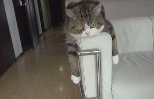 Top clip hài: Mùa hè cười - 5