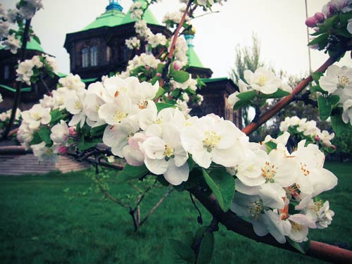 Những câu hỏi khó trên đường đi - 2