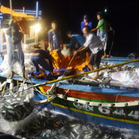 Tin tức trong ngày - Trắng đêm cùng ngư phủ vươn khơi