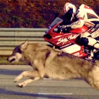 Thể thao - Những khoảnh khắc kỳ diệu của loài người