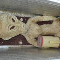 Phi thường - kỳ quặc - Xôn xao xác "người ngoài hành tinh"