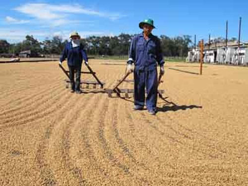 Hơn 500 tỷ đồng thuế VAT “bốc hơi” - 1