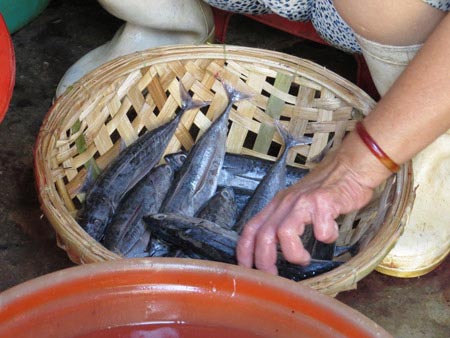 Mùi ồ trụng - 3