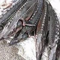 Thị trường - Tiêu dùng - Kiểm soát cá tầm nhập lậu tại sân bay