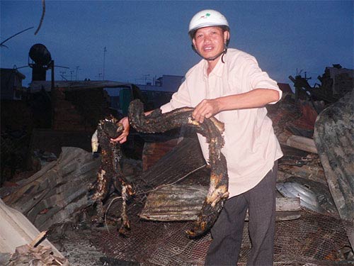 Báo cháy, PCCC đến sau 1 giờ, 85 nhà ra tro - 4