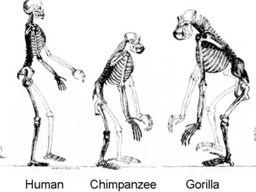 10 sự thật thú vị về Google - 5