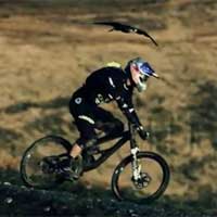 Thể thao - Video: Nhanh như chim ưng