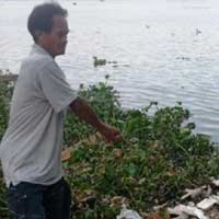 Tin tức trong ngày - Cuộc đời lão ngư 40 năm "cướp cơm Hà Bá"