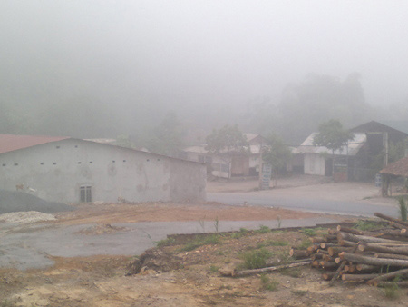 Sương mù dày đặc giữa mùa hạ ở Lào Cai - 4