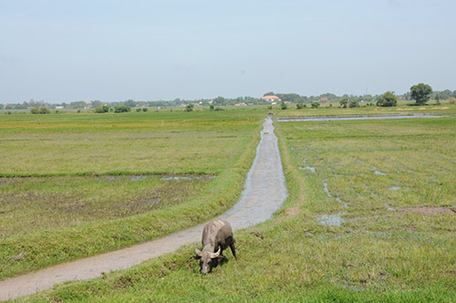Yu Dương tái xuất phim hè thiếu nhi - 4
