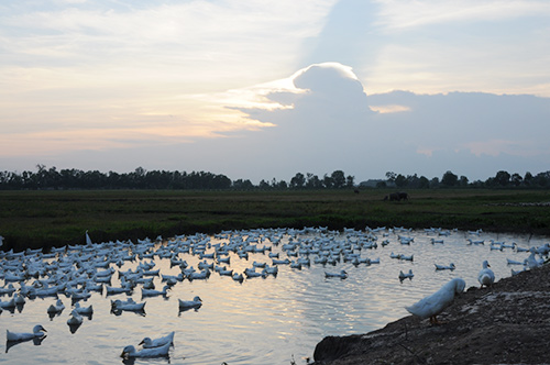 Yu Dương tái xuất phim hè thiếu nhi - 5