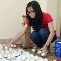 Giáo dục - du học - Gặp hai “điểm 10” môn văn