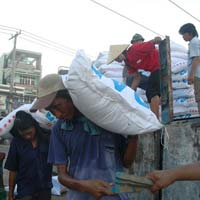 Thị trường - Tiêu dùng - Phân bón: Hai bộ quản vẫn rối