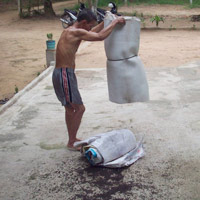Tin tức trong ngày - Khảo sát “nạn” bọ đậu đen bao vây nhà dân