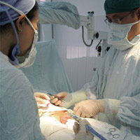 Sức khỏe đời sống - VN sẽ có 4 cơ sở được xác định lại giới tính