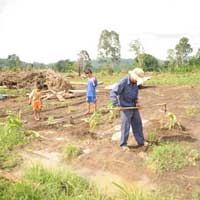 Tin tức trong ngày - Sau vỡ đập thủy điện: Thiếu đói đang cận kề