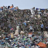 Tin tức trong ngày - Thân vạc nơi bãi rác Nam Sơn