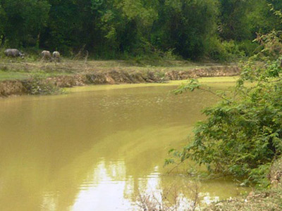 “Không có anh ấy, chúng em chết hết rồi” - 2