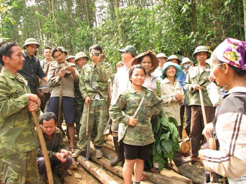 Yêu cầu làm rõ vụ phá rừng ở Nghệ An - 1