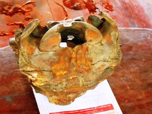 Vớt được hộp sọ kỳ quái ở Thanh Hoá - 2