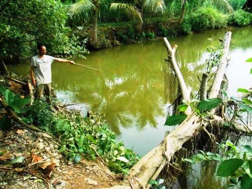 Vớt được hộp sọ kỳ quái ở Thanh Hoá - 3