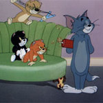 Video funny TOM & JERRY: Những chú chó con