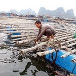 Tin tức trong ngày - Bão số 2 ảnh hưởng Quảng Ninh - Nam Định