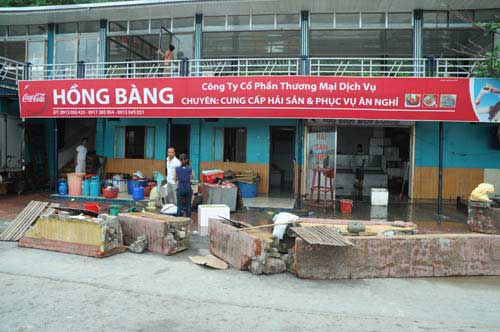 Hải Phòng thiệt hại nặng do bão số 2 - 8