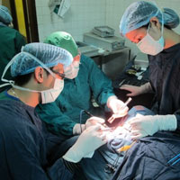 Sức khỏe đời sống - Phẫu thuật cho "bé gái" có tinh hoàn