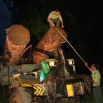 Tin tức trong ngày - Xã hội đen lập chính quyền ở rừng nguyên sinh